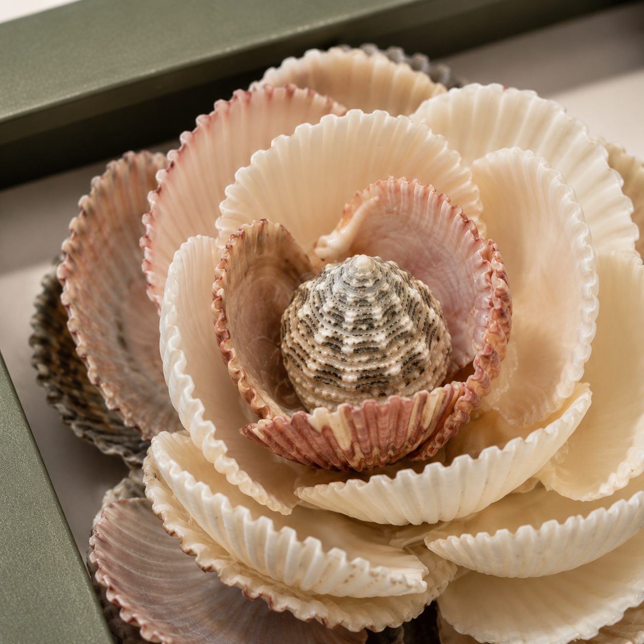 Sea Blossom Shadow Box view 3